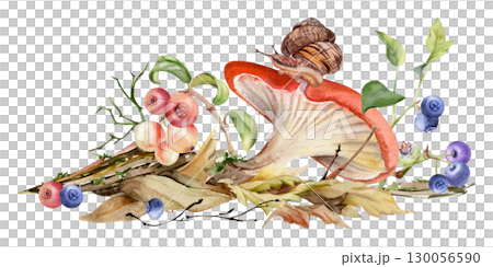 Russula webcap cortinarius mushroom, crawling snail on cap, cranberry blackberry on top of fallen autumn leaves pile, berries twigs. Forest floor. Fungi natural illustration hand drawn in watercolor. 130056590