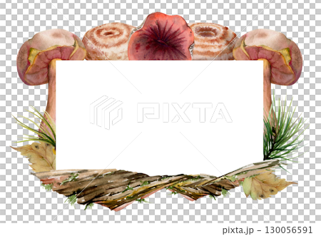 Bolete Russula milk-cap mushroom on bark with moss lichen growth, fallen autumn leaves, pine needles. Copy space frame hand drawn in watercolor. Cep webcap suillus fungi, autumn forest floor harvest. 130056591