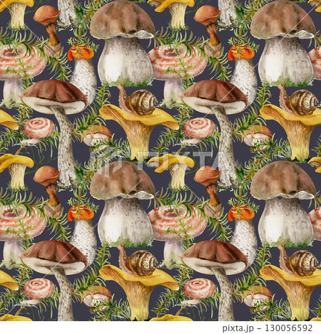 Mushrooms seamless pattern hand drawn in watercolor. Chanterelle russula webcap birch bolete suillus slippery jack fungi, horsetail plant stalks isolated on dark. Wild food market packaging wrapping 130056592