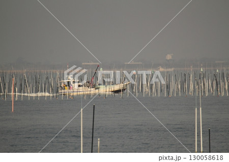 大牟田市 有明海 海苔畑、 大牟田市 有明海 海苔畑、 130058618