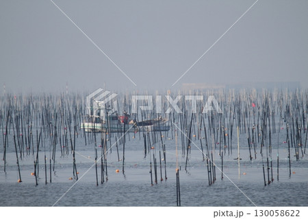 大牟田市 有明海 海苔畑、 大牟田市 有明海 海苔畑、 130058622