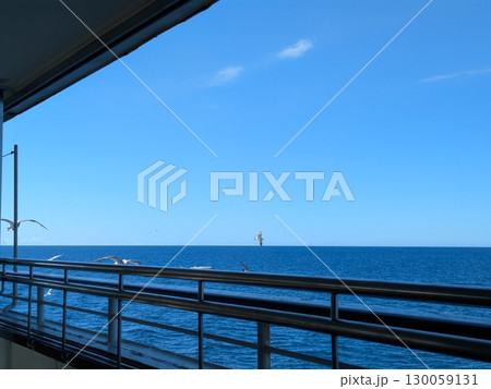 海 130059131