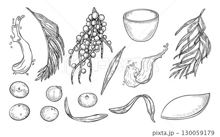 Acai berries, juice splash black white vector clipart. Fresh berries and kitchen utensils outline illustration isolated. Superfood botanical elements hand drawn ink. Fruit, leaf for design packaging. Acai berries, juice splash black white vector clipart. Fresh berries and kitchen utensils outline illustration isolated. Superfood botanical elements hand drawn ink. Fruit, leaf for design packaging. 130059179