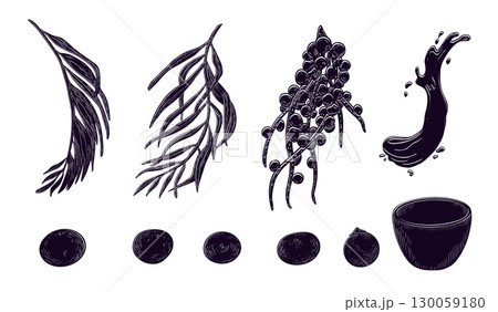 Acai berries, palm leaves black white vector illustration isolated on white. Superfood purple berries, palm fronds silhouette clipart hand drawn. Berries, bowl for design wrapping, packaging, label. Acai berries, palm leaves black white vector illustration isolated on white. Superfood purple berries, palm fronds silhouette clipart hand drawn. Berries, bowl for design wrapping, packaging, label. 130059180