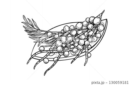 Acai berries palm fronds on wooden plate outline vector illustration isolated on white. Fresh amazon small purple berries on leaf shaped plate hand drawn black white. Superfood for packaging. 130059181