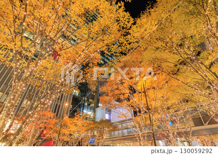 グランフロント大阪のクリスマスイルミネーション (大阪市北区梅田) グランフロント大阪のクリスマスイルミネーション (大阪市北区梅田) 130059292