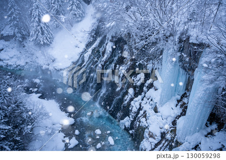 舞い降る雪に包まれる白ひげの滝（北海道・美瑛町） 130059298