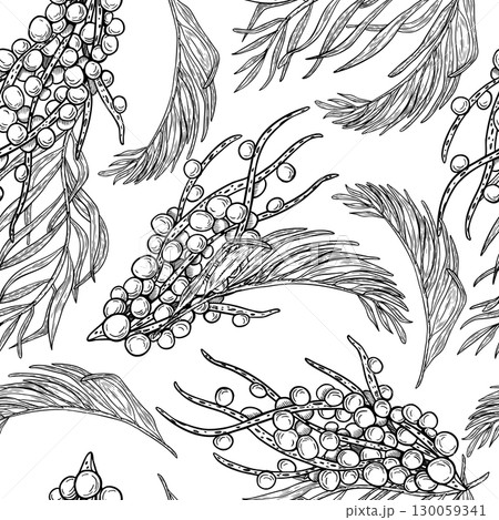 Acai berries on branches tropical palm leaves hand drawn black white vector repeat background. Monochrome jungle foliage ripe fruits seamless pattern for packaging, health product labels, textiles. Acai berries on branches tropical palm leaves hand drawn black white vector repeat background. Monochrome jungle foliage ripe fruits seamless pattern for packaging, health product labels, textiles. 130059341
