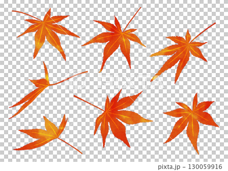 秋天的樹葉水彩風格 130059916