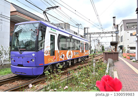 都電 荒川線 (東京さくらトラム) 　8800形 (8806) 130059983