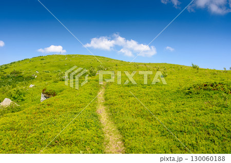 mountain landscape in summer. green hill and blue sky. scenic nature background for travel in alpine scenery of ukraine on a sunny weather in afternoon. peaceful view of carpathian mount smooth mountain landscape in summer. green hill and blue sky. scenic nature background for travel in alpine scenery of ukraine on a sunny weather in afternoon. peaceful view of carpathian mount smooth 130060188