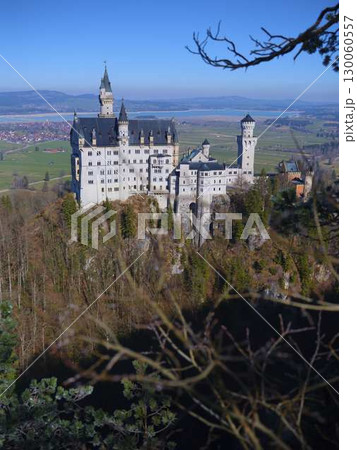 Neuschwanstein Castle stands majestically atop a hill surrounded by trees and mountains in southern Germany during a clear day 130060557
