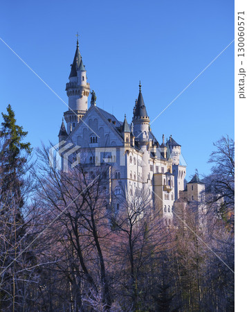 Majestic castle surrounded by trees stands under a clear blue sky in a picturesque landscape near the Bavarian Alps Majestic castle surrounded by trees stands under a clear blue sky in a picturesque landscape near the Bavarian Alps 130060571