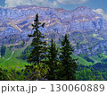 Stunning mountain landscape with lush greenery and tall conifer trees beneath a clear blue sky 130060889