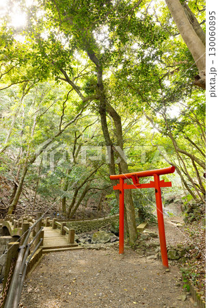 鳴滝神社　鳥居 130060895