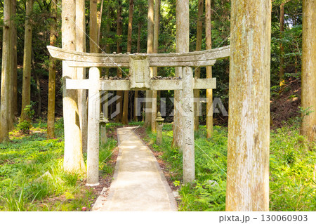 鳴滝神社　鳥居 130060903