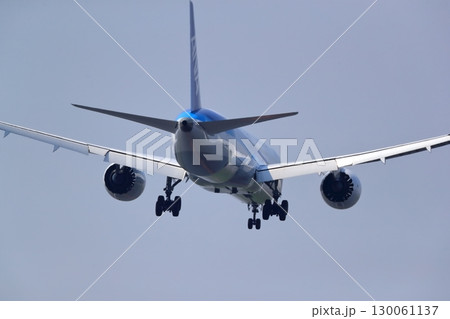 旅客機の離着陸 130061137