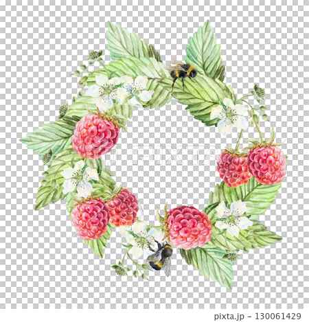 Raspberry wreath watercolor. Ripe red berries, green leaves, white flowers and bees. Hand drawn botanical illustration isolated for menu design, cosmetic and food labels. 130061429