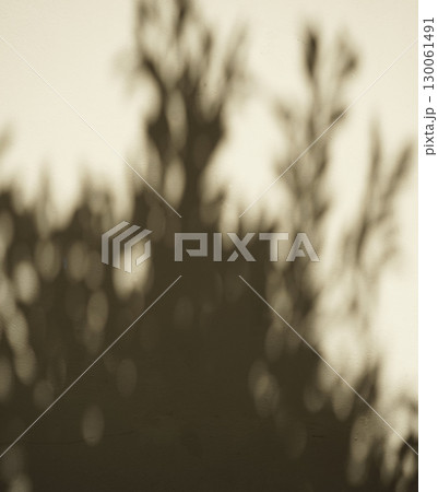 Real organic photo dark light natural shadow overlay neutral white old textured wall background bg Real organic photo dark light natural shadow overlay neutral white old textured wall background bg 130061491