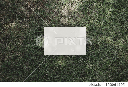 Real organic photo white blank card shadow overlay natural mockup organic design green grass texture 130061495