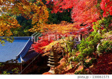 紅葉に包まれる秋の楊谷寺 130061573