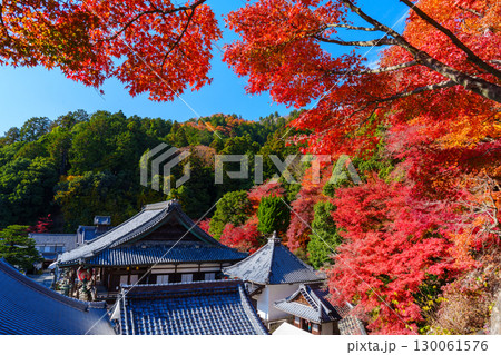紅葉に包まれる秋の楊谷寺 紅葉に包まれる秋の楊谷寺 130061576