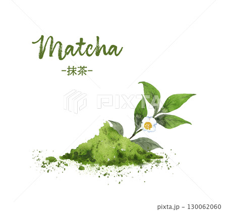 抹茶パウダーとお茶の花の水彩画 130062060