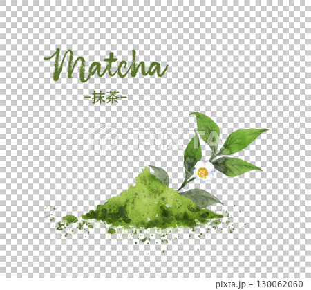 抹茶パウダーとお茶の花の水彩画 130062060