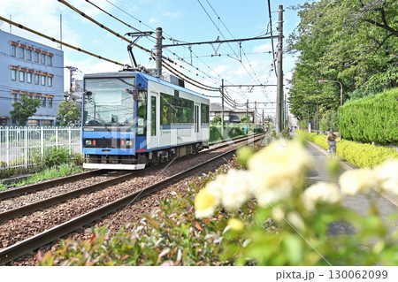 都電 荒川線 (東京さくらトラム) 8800形 (8806) 都電 荒川線 (東京さくらトラム) 8800形 (8806) 130062099
