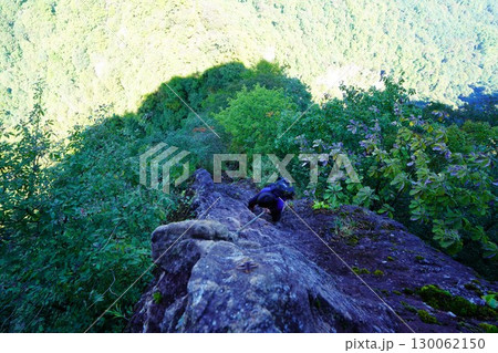 妙義山金洞山鷹戻しの鎖場を登る登山者 妙義山金洞山鷹戻しの鎖場を登る登山者 130062150