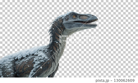 Velociraptor isolated on transparent PNG background 130062609