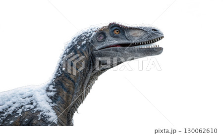 Velociraptor isolated on transparent PNG background 130062610