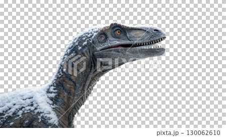 Velociraptor isolated on transparent PNG background 130062610