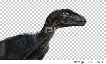 Velociraptor isolated on transparent PNG background 130062611