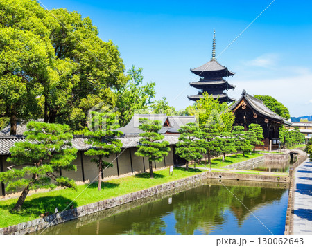 夏の京都　東寺　五重塔と南大門 130062643