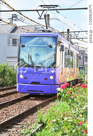 都電 荒川線 (東京さくらトラム) 8800形(8806) 都電 荒川線 (東京さくらトラム) 8800形(8806) 130062675