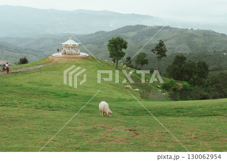 Akha Farmville, the only sheep farm of Doi Chang, Chiang Rai Akha Farmville, the only sheep farm of Doi Chang, Chiang Rai 130062954