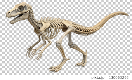 Velociraptor isolated on transparent PNG background 130063293