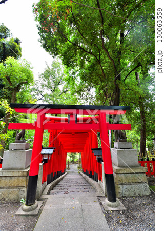 《愛知県》名古屋市千種区　揚輝荘北園　豊彦稲荷の鳥居 130063559