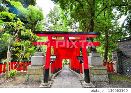 《愛知県》名古屋市千種区　揚輝荘北園　豊彦稲荷の鳥居 130063560