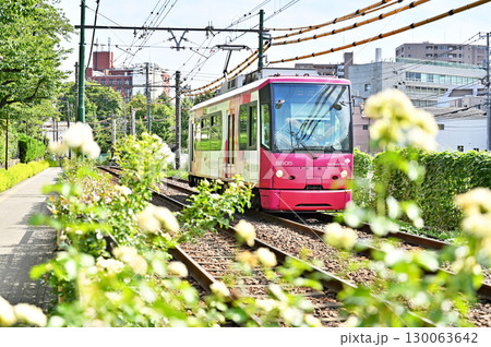 都電 荒川線 (東京さくらトラム)   　8800形(8805)　 130063642