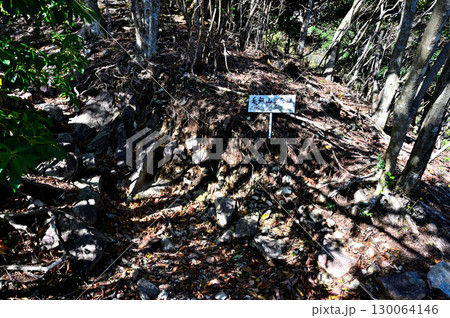 天子山地　日本二百名山の毛無山　毛無山ルートの三合目 130064146