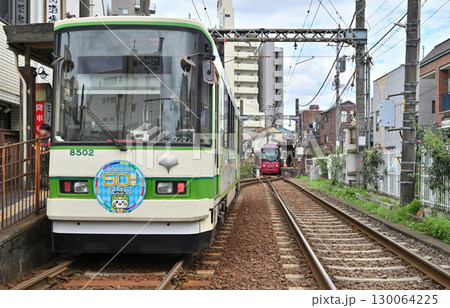 都電 荒川線 (東京さくらトラム) 8500形(8502) 都電 荒川線 (東京さくらトラム) 8500形(8502) 130064225