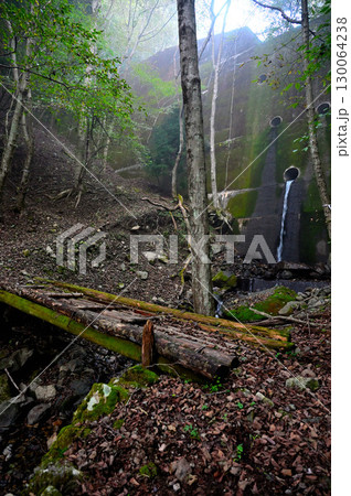 御坂山地の三方分山にて　阿難坂へ向かう旧中道往還の旧道 130064238