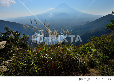 御坂山地の精進峠展望台からの富士山と精進湖にススキ 130064255
