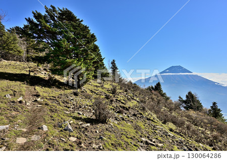 天子山地の毛無山　日本二百名山から望む富士山　コピースペース 130064286