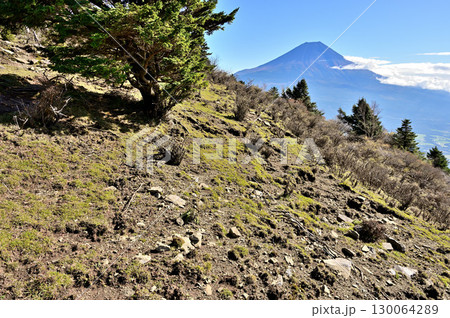 天子山地の毛無山 展望の縦走路より望む富士山 天子山地の毛無山 展望の縦走路より望む富士山 130064289
