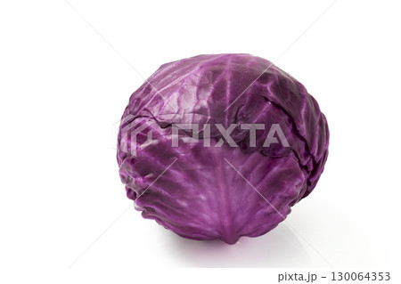 白バックの紫キャベツ 白バックの紫キャベツ 130064353