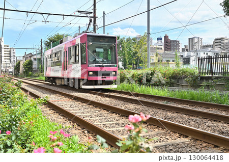 都電 荒川線 (東京さくらトラム) 8900形(8906) 都電 荒川線 (東京さくらトラム) 8900形(8906) 130064418