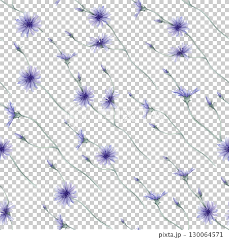 Watercolor seamless pattern white background - illustration with green leaves and blue purple chicory Wildfield herbs flowers. Wedding invites, fashion, prints, backgrounds. Mono floral pattern Watercolor seamless pattern white background - illustration with green leaves and blue purple chicory Wildfield herbs flowers. Wedding invites, fashion, prints, backgrounds. Mono floral pattern 130064571